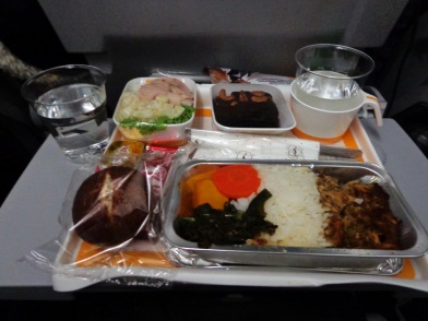 Makanan di pesawat menuju eropa