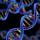 Struktur dan Topologi DNA